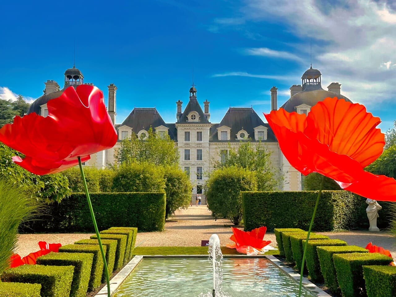 Cheverny: 600 000 tulipes pour sublimer notre patrimoine